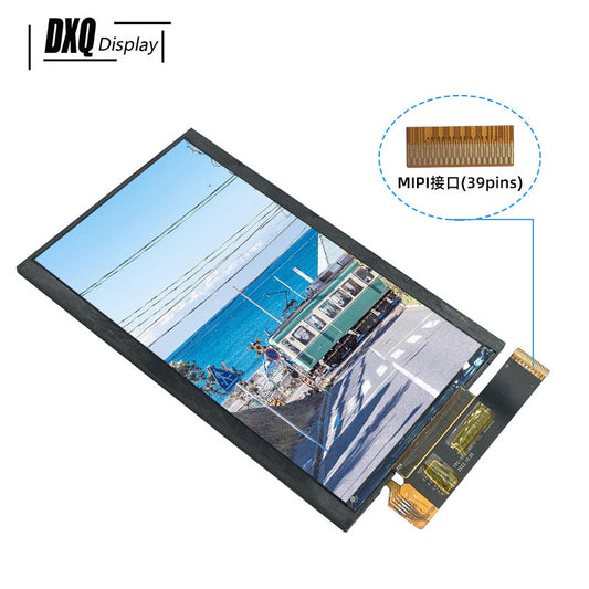 3000nits 5.5 inch TFT LCD Display for Monitor